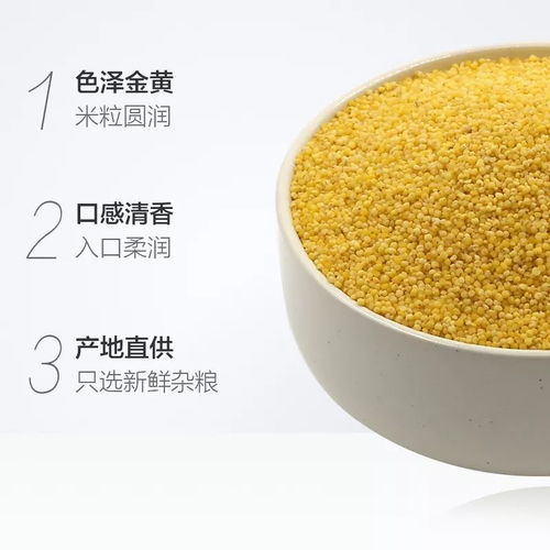 19.9元限時(shí)預(yù)售！前1000份搶400g*3袋“谷物軟黃金”，產(chǎn)地新鮮直供