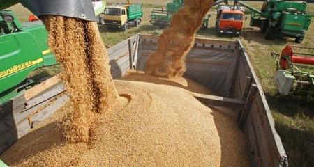 歐盟關(guān)稅壁壘下的俄羅斯谷物貿(mào)易博弈