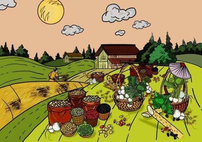 解決農(nóng)產(chǎn)品交易大問(wèn)題——標(biāo)準(zhǔn)化合約如何重塑谷物銷售格局